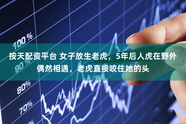 按天配资平台 女子放生老虎，5年后人虎在野外偶然相遇，老虎直接咬住她的头
